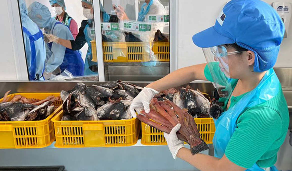 Cambodia’s fish enter Australian market