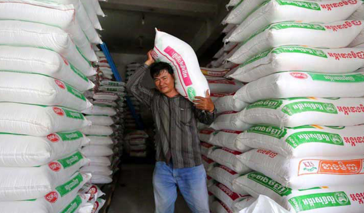 Kingdom to export 1 million tonne milled rice by 2025