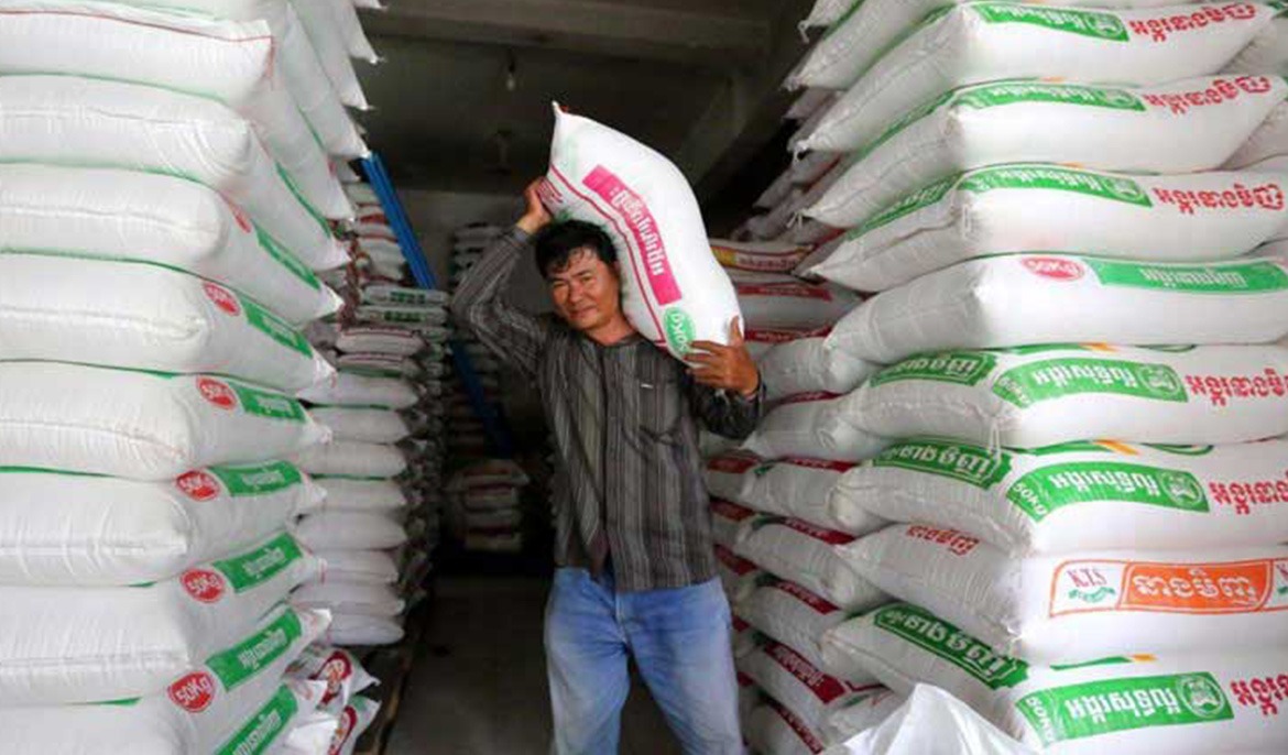 Rice exports surge in first half of 2024