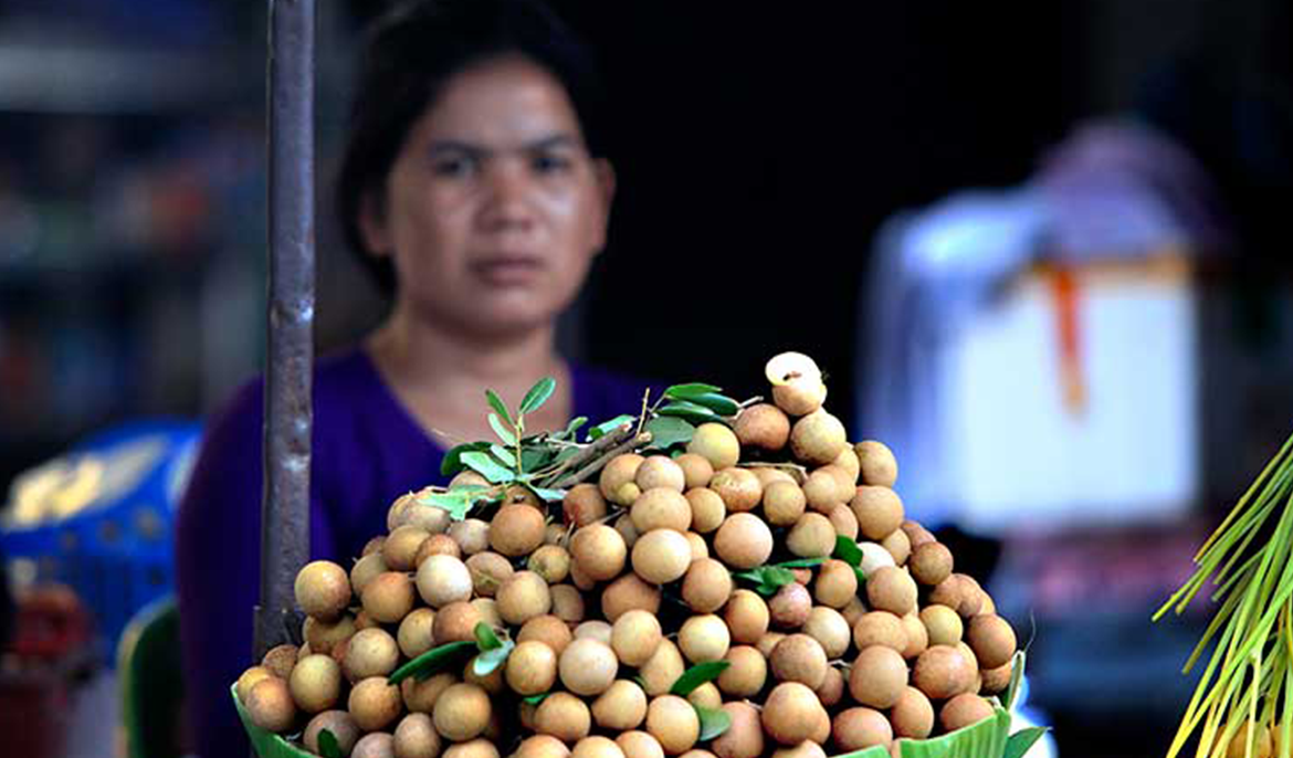 Fresh longan export spiked over 100 percent in first semester