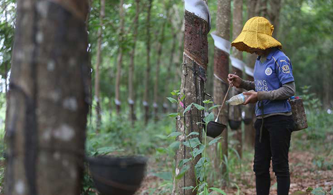 WWF trains Kampong Cham officials on SNR specifications