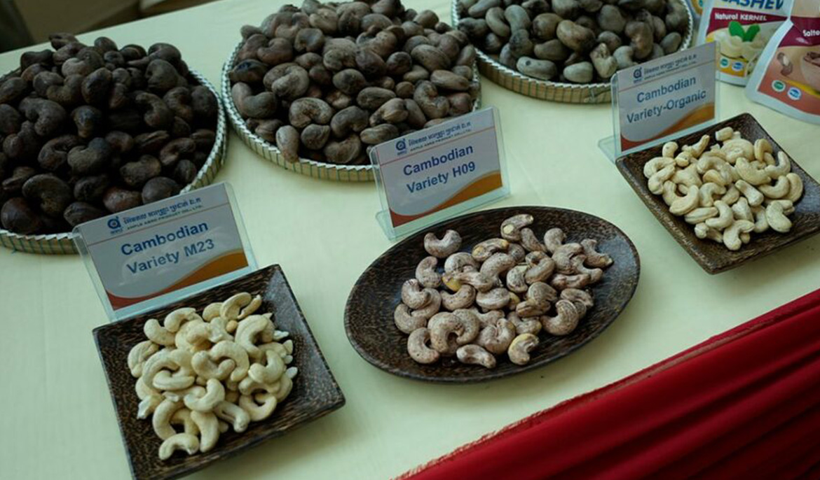 Cambodian Processed Cashew Nuts to Be Available at Airports and on Airlines