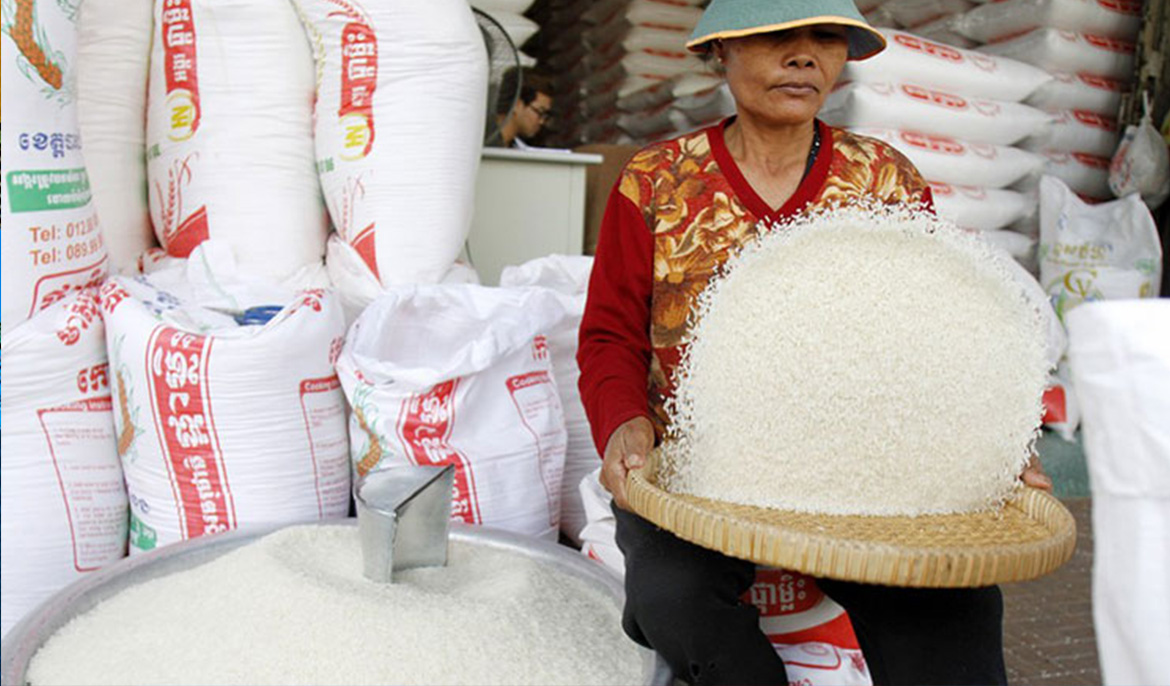 Cambodia earns $280 mln from milled rice export in seven months