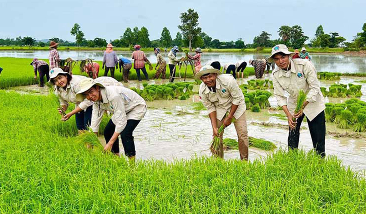 PM urges rapid deployment of 1,000 agricultural officers to boost farming