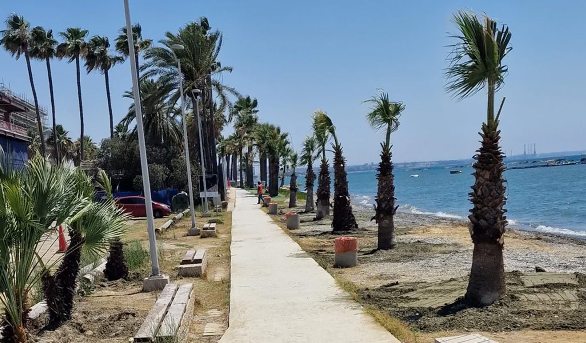 Tourism board plants palm trees in Larnaca