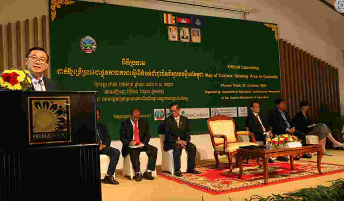 Cambodia ranks third in cashew cultivation area