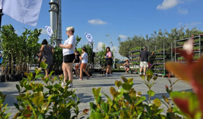 More than 2,000 plants handed out at Larnaca airport