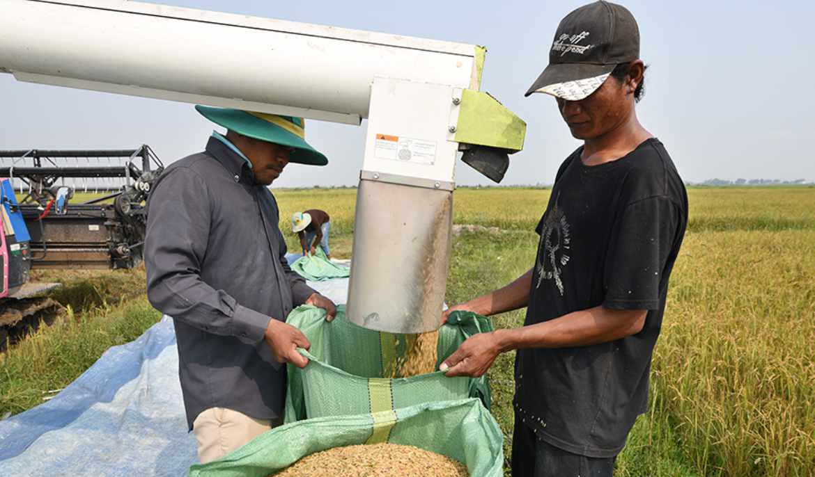 Indonesia seeks competitive rice prices from Cambodia as trade expands