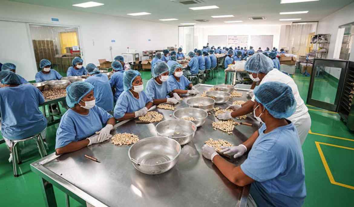 Cashew exports surpass $700M in H1