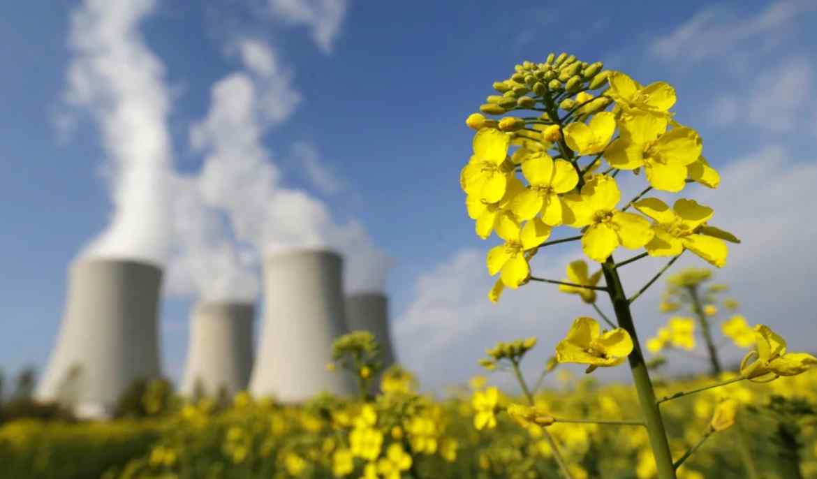 Cyprus assesses clean energy costs in new EU-backed study