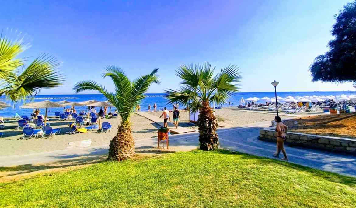 Cyprus Business Now: BoC, hotel workers, Larnaca marina, foreign investments