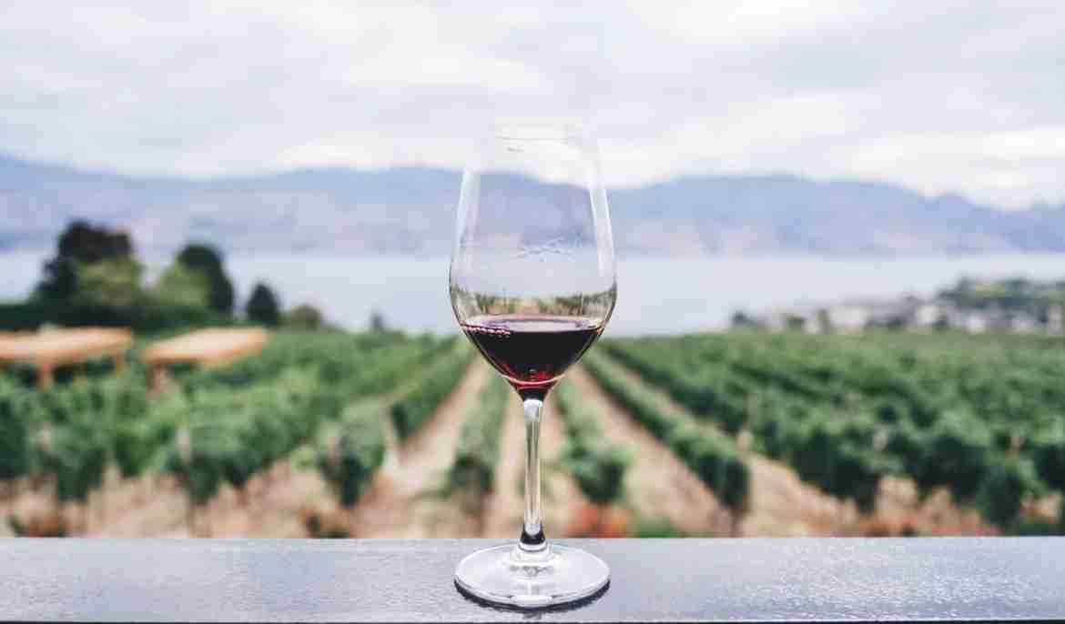 Enjoy wine and the full moon in Vouni